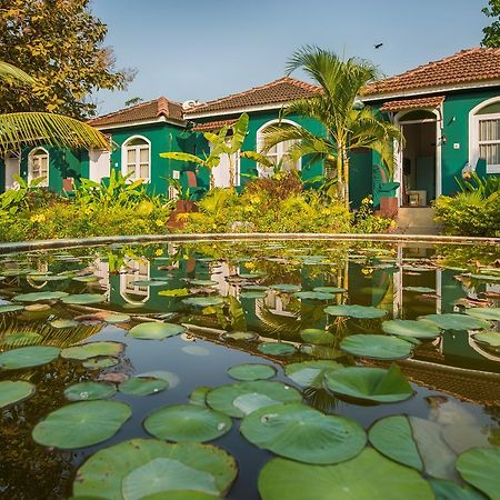 Aquatica Resorts & Spa Morjim Zewnętrze zdjęcie